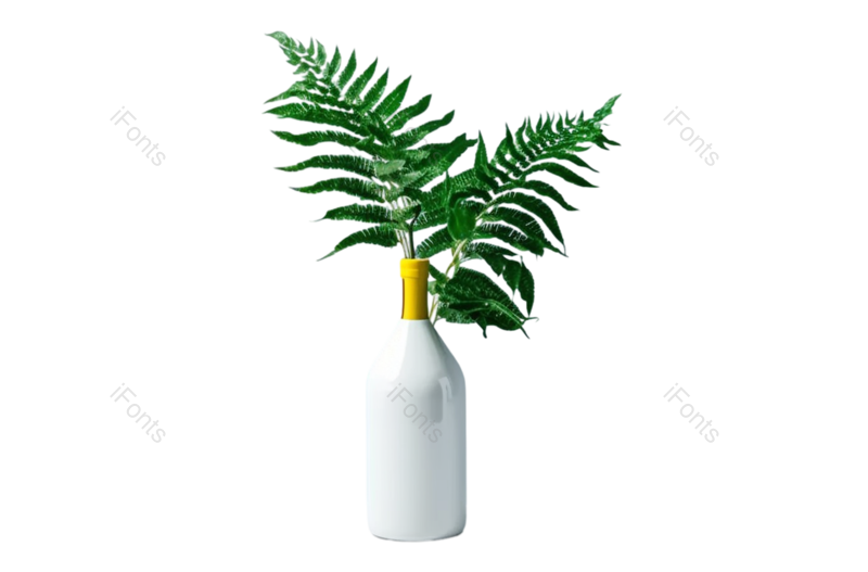 叶子图片,现代元素,摄影PNG,抽象免抠素材